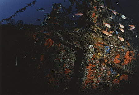 patris_wreck Πατρίς - Απολεσθέν το 1868